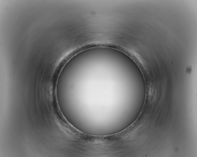 X0000092230684200709140942