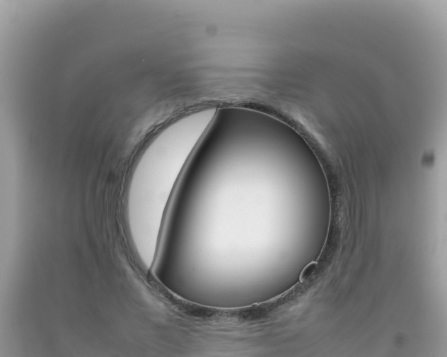 X0000092230685200709140942