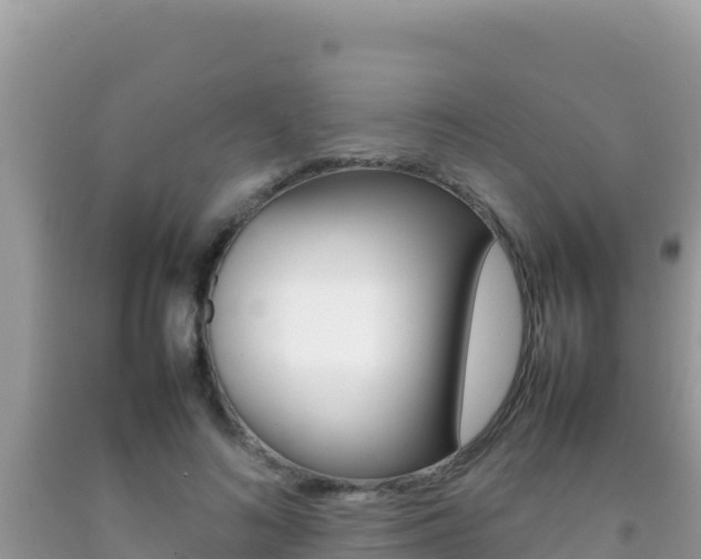 X0000092230692200709140942