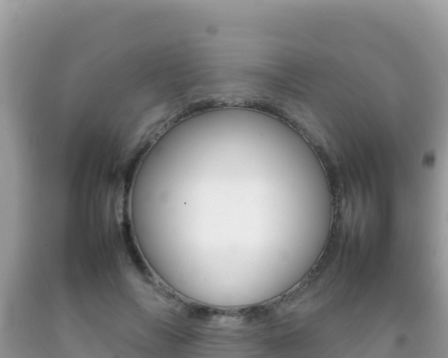 X0000092230694200709140942