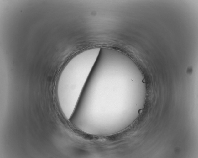 X0000092230695200709140942