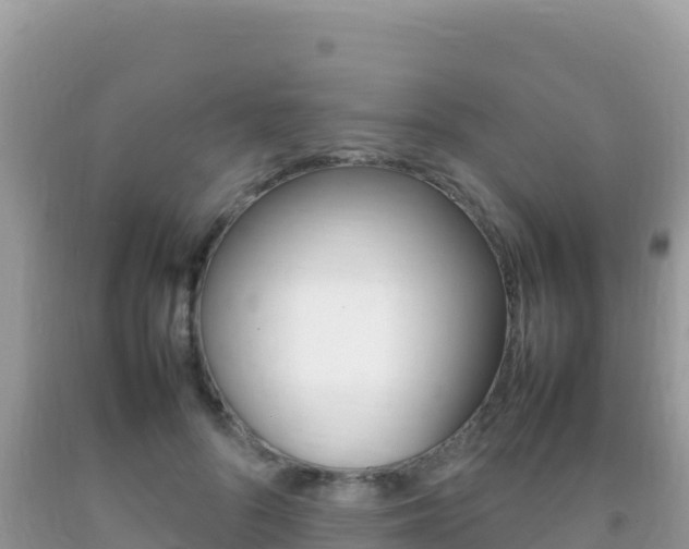 X0000092230696200709140942