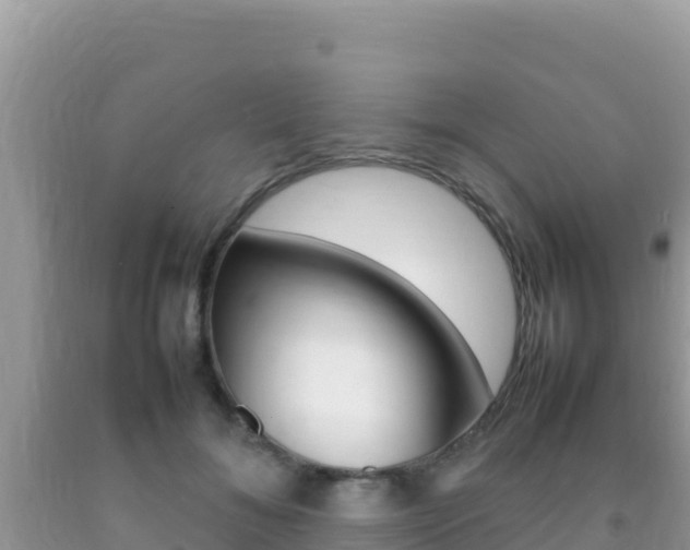 X0000092230700200709140942
