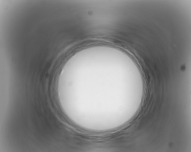 X0000092230701200709140942
