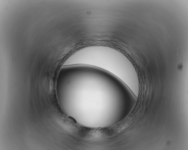 X0000092230704200709140942