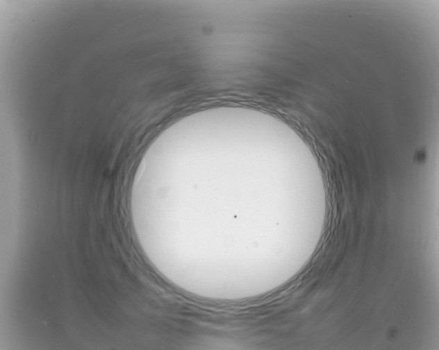 X0000092230705200709140942