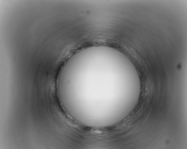X0000092230706200709140942