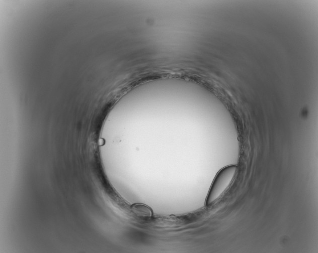 X0000092230707200709140942