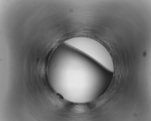 X0000092230708200709140942