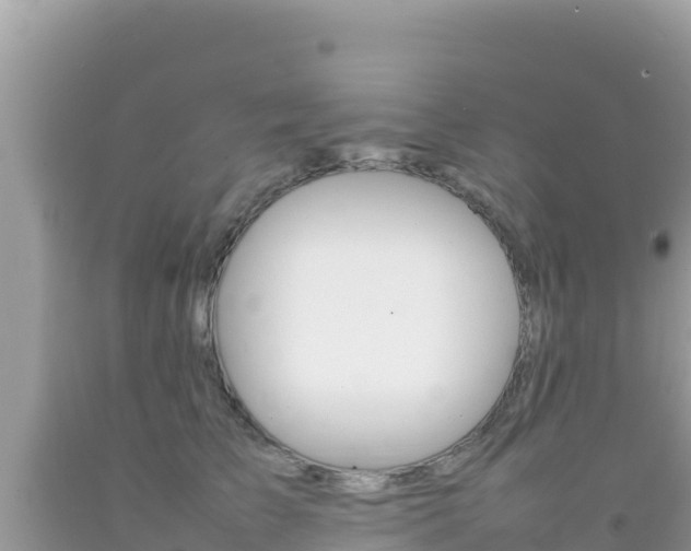 X0000092230709200709140942