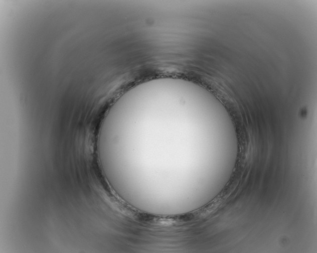 X0000092230710200709140941