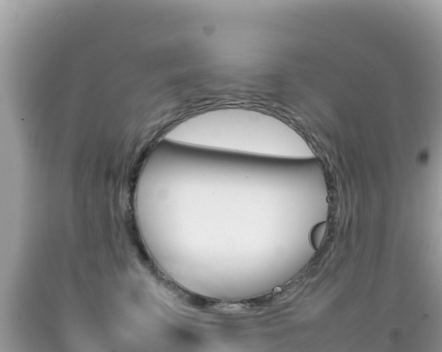 X0000092230711200709140941