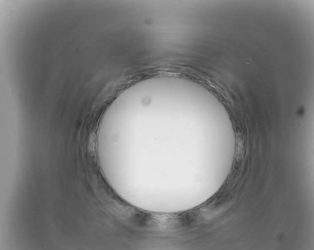 X0000092230713200709140941