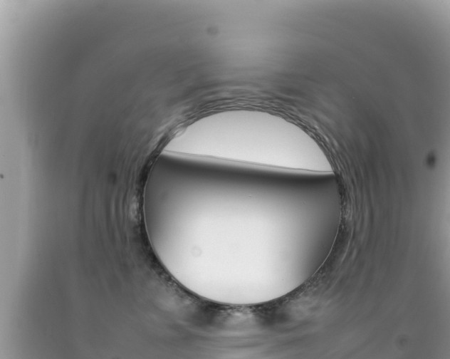 X0000092230715200709140941