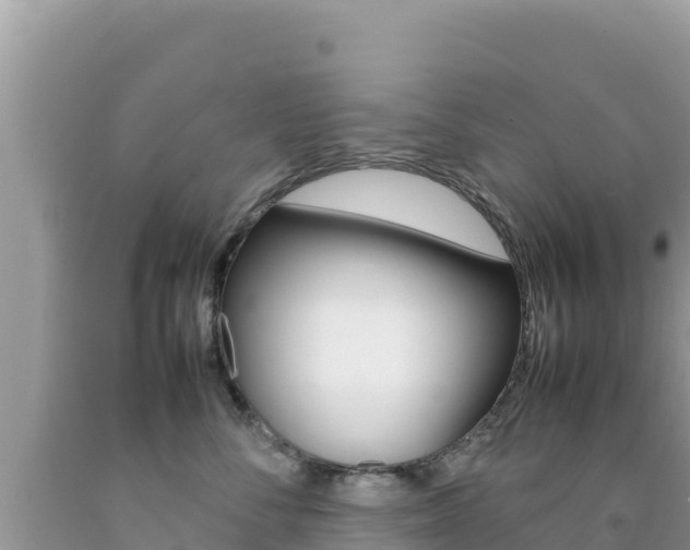 X0000092230716200709140941