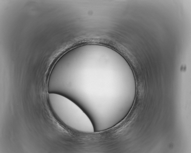 X0000092230721200709140941