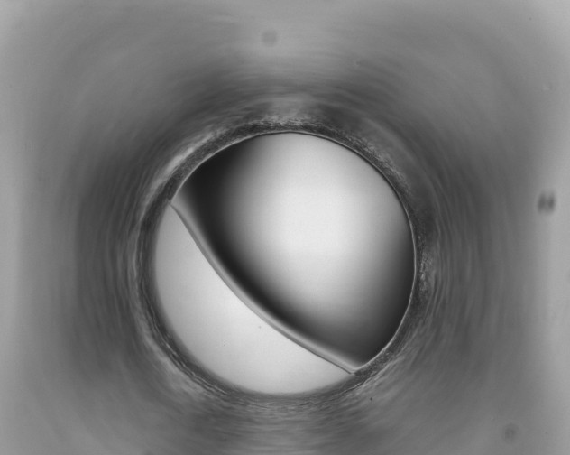 X0000092230722200709140941