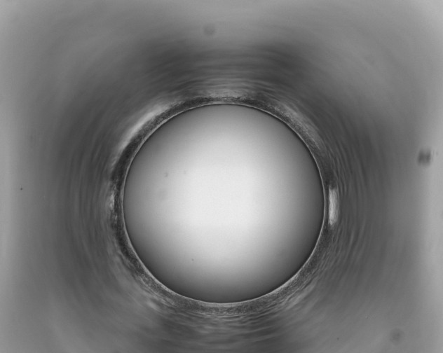 X0000092230723200709140941