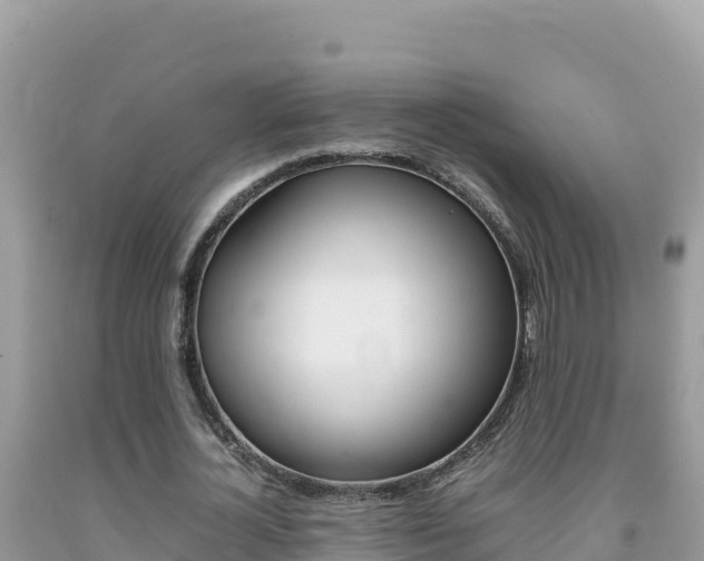 X0000092230724200709140941
