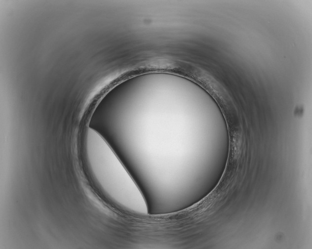 X0000092230726200709140941