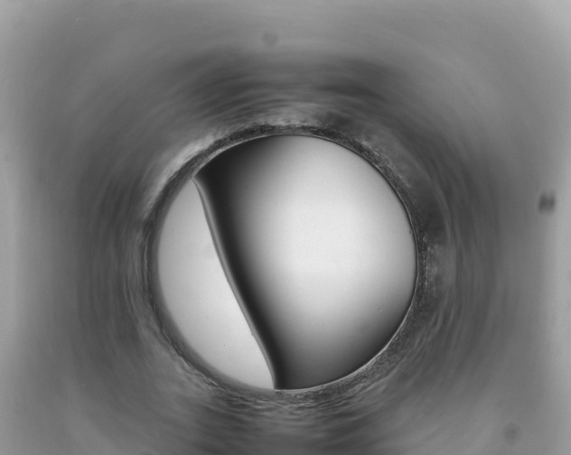 X0000092230727200709140941