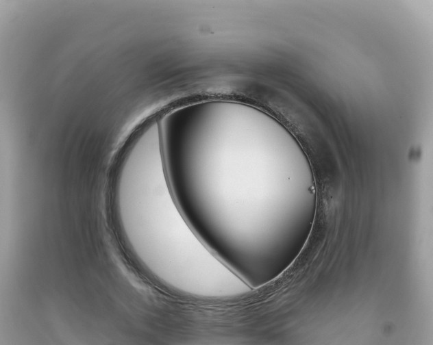 X0000092230728200709140941