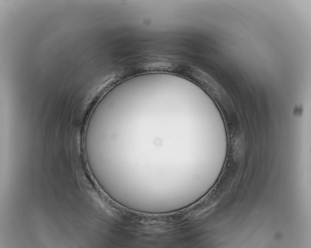 X0000092230729200709140941