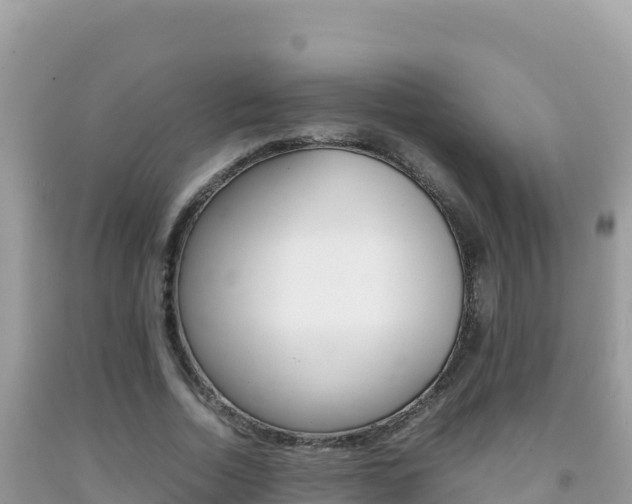 X0000092230730200709140941