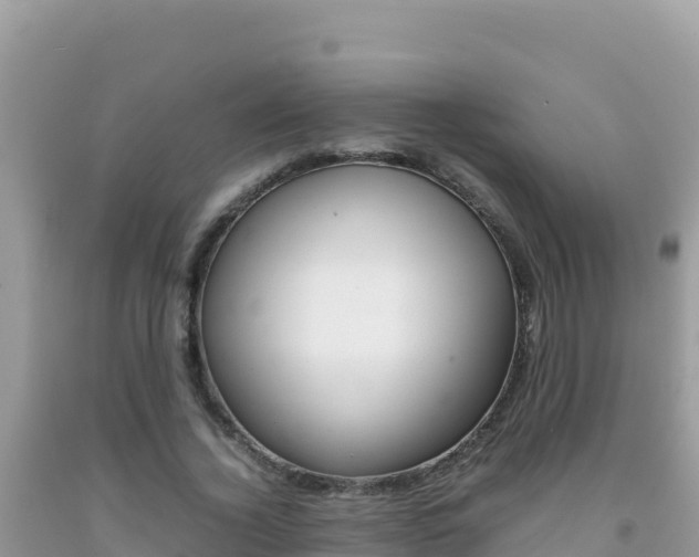X0000092230732200709140941