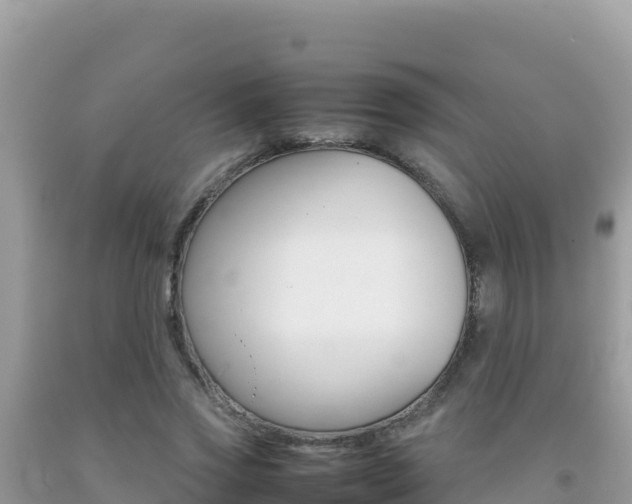 X0000092230733200709140941