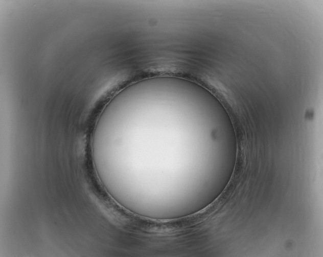 X0000092230735200709140941