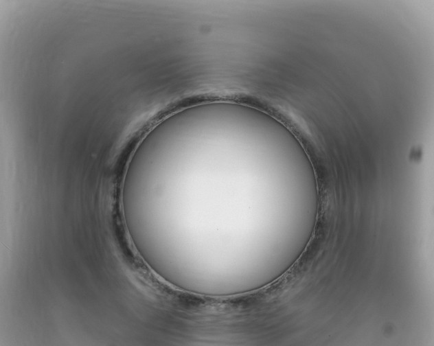 X0000092230736200709140941