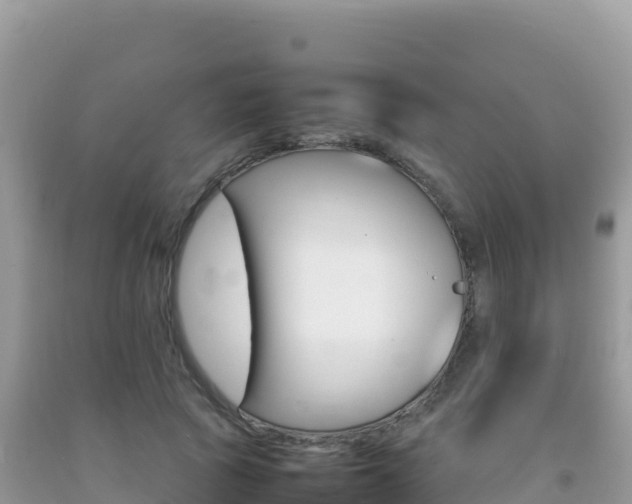 X0000092230737200709140941