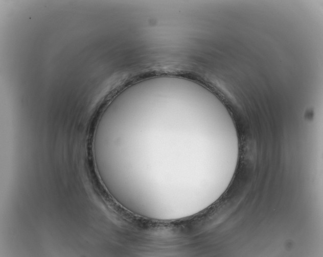 X0000092230738200709140941