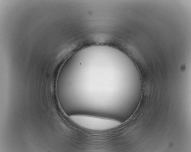 X0000092230740200709140941