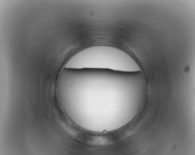 X0000092230741200709140941