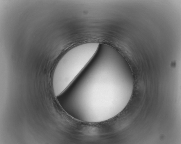 X0000092230743200709140941
