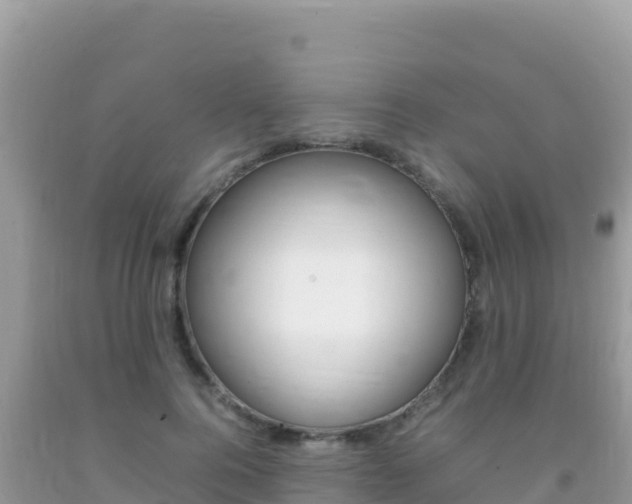 X0000092230744200709140941