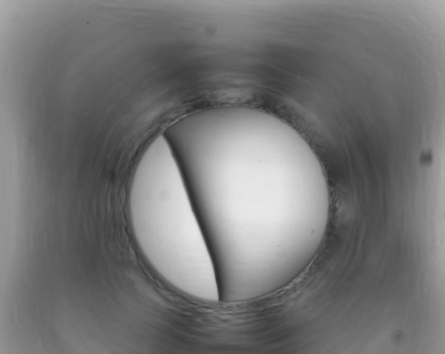 X0000092230745200709140941