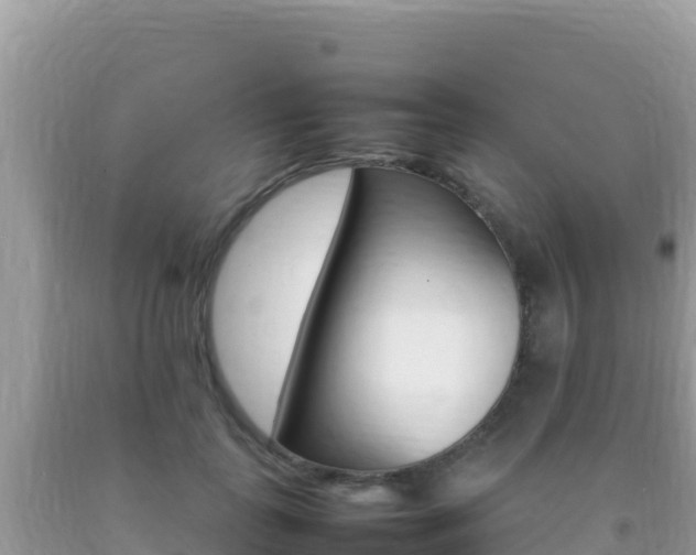 X0000092230747200709140941