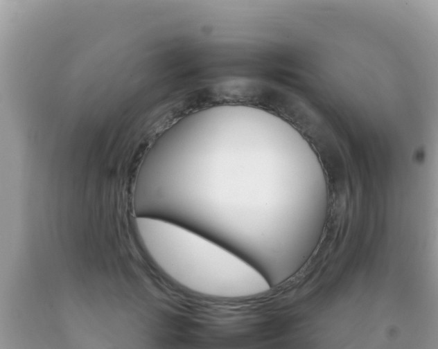 X0000092230749200709140941