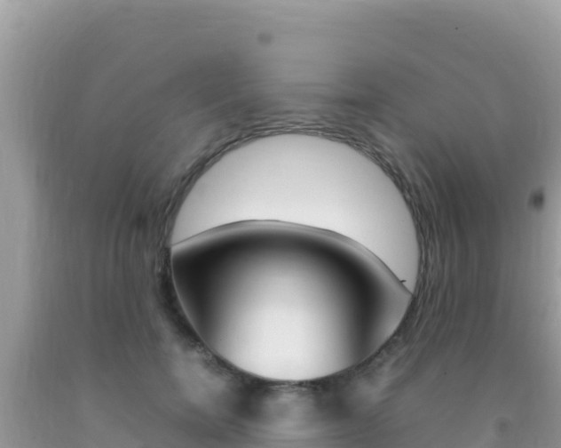 X0000092230750200709140941