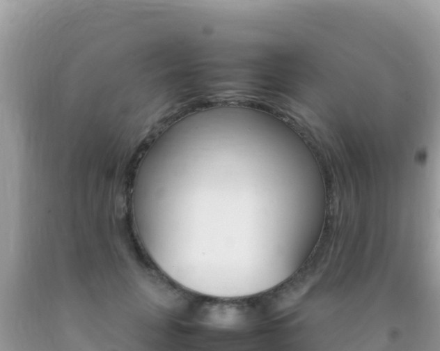 X0000092230751200709140941
