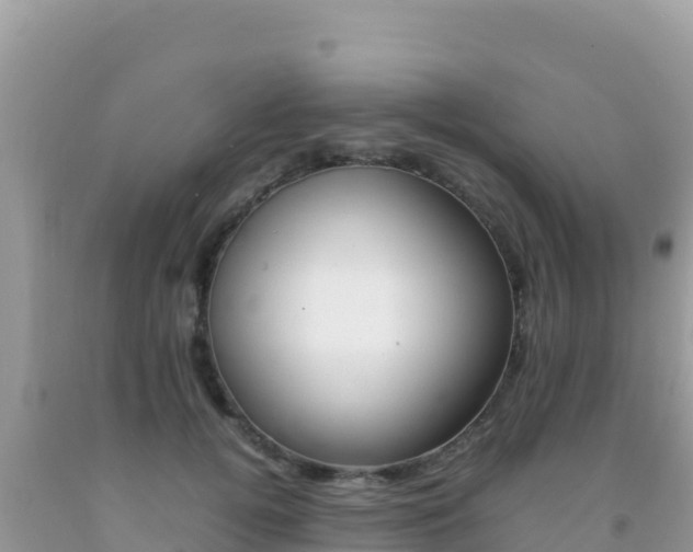 X0000092230752200709140941