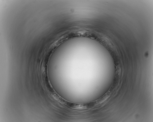 X0000092230754200709140941