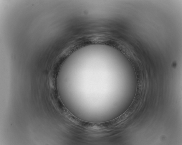 X0000092230755200709140941