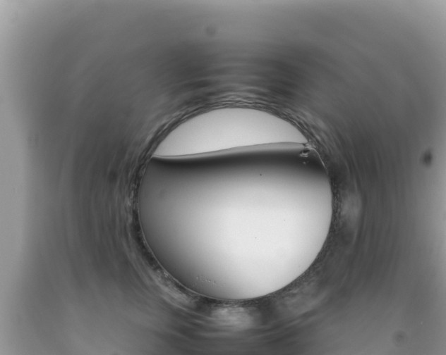 X0000092230759200709140941