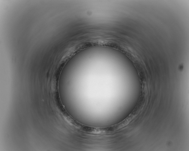 X0000092230760200709140941