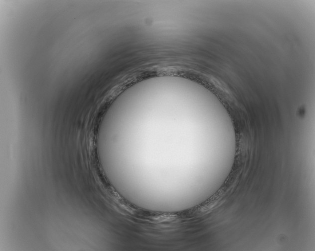 X0000092230761200709140941