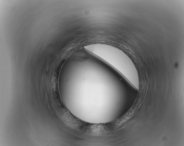 X0000092230762200709140941